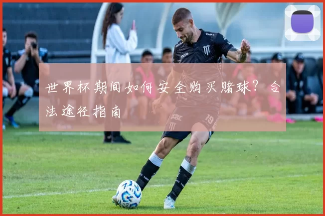 世界杯期间如何安全购买赌球？合法途径指南