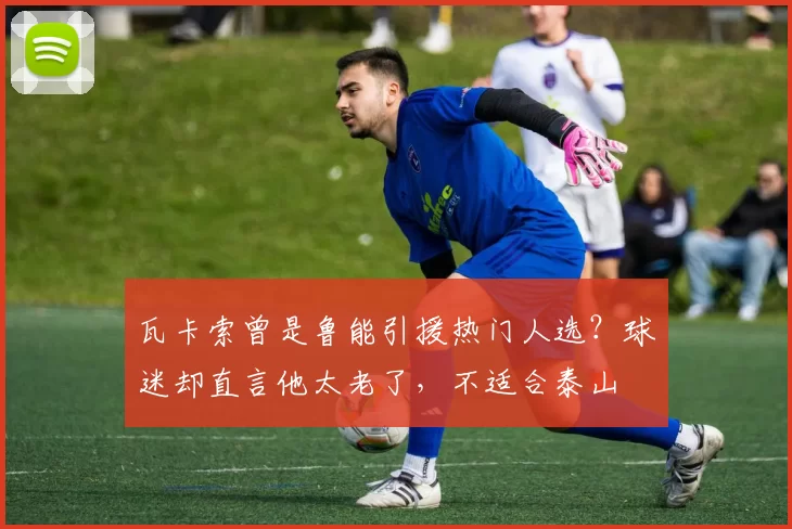 瓦卡索曾是鲁能引援热门人选?球迷却直言他太老了,不适合泰山