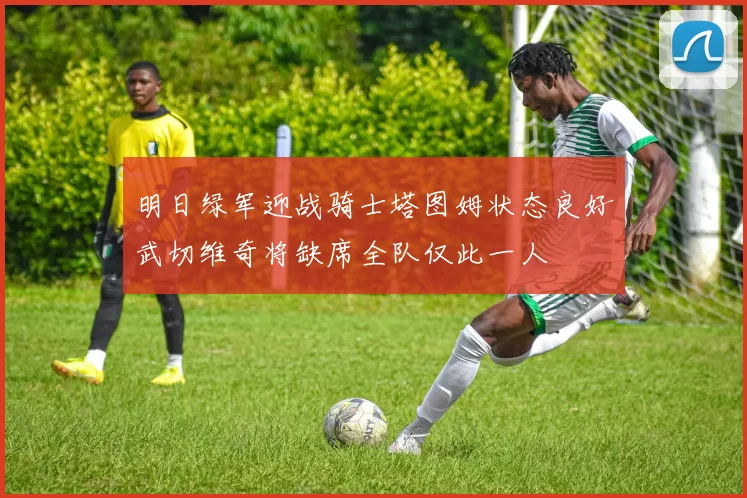 明日绿军迎战骑士塔图姆状态良好武切维奇将缺席全队仅此一人
