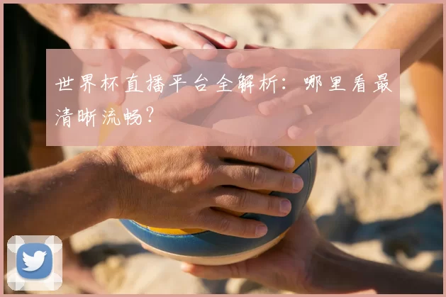 世界杯直播平台全解析：哪里看最清晰流畅？