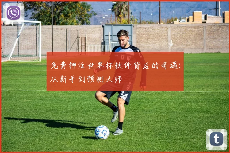 免费押注世界杯软件背后的奇遇:从新手到预测大师
