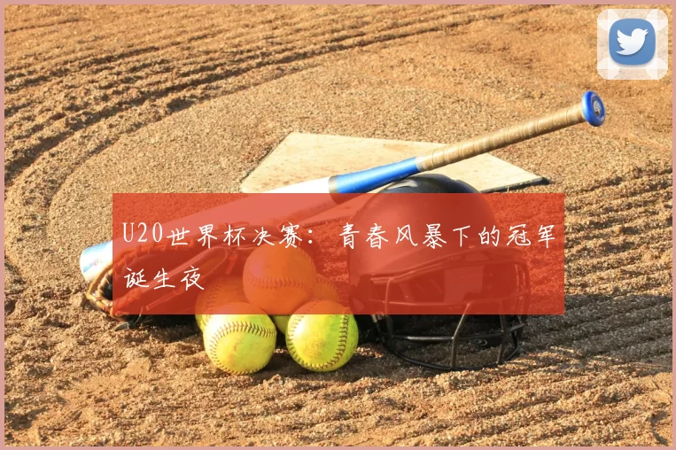 U20世界杯决赛:青春风暴下的冠军诞生夜