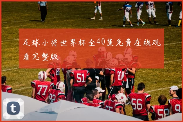 足球小将世界杯全40集免费在线观看完整版