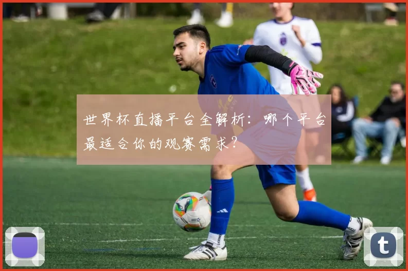 世界杯直播平台全解析：哪个平台最适合你的观赛需求？