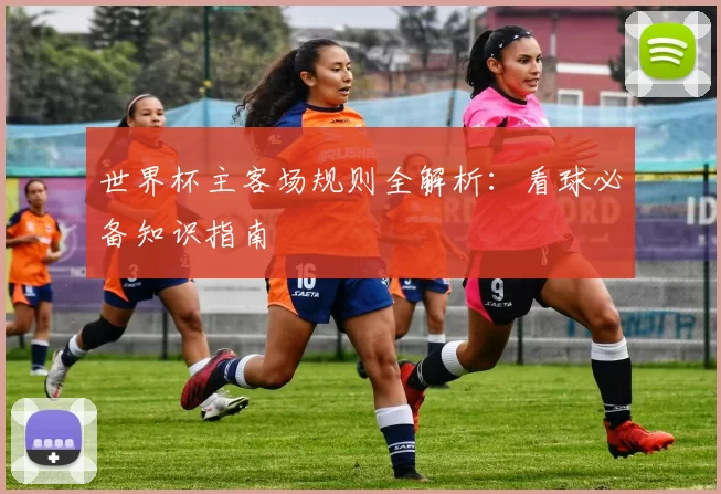世界杯主客场规则全解析：看球必备知识指南