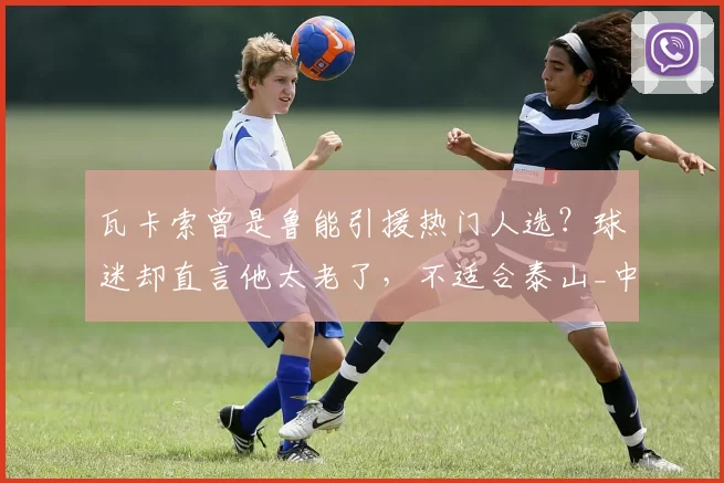 瓦卡索曾是鲁能引援热门人选？球迷却直言他太老了，不适合泰山_中超_莫伊塞斯_韩鹏和