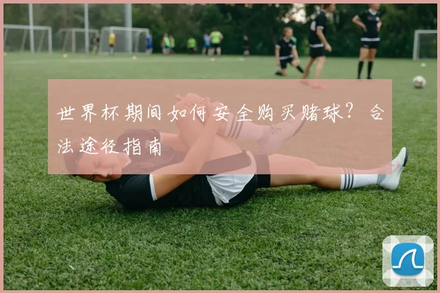 世界杯期间如何安全购买赌球？合法途径指南