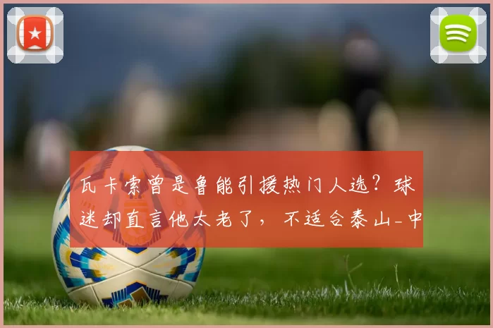 瓦卡索曾是鲁能引援热门人选?球迷却直言他太老了,不适合泰山_中超_莫伊塞斯_韩鹏和