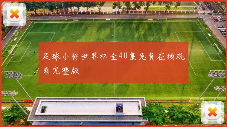 足球小将世界杯全40集免费在线观看完整版