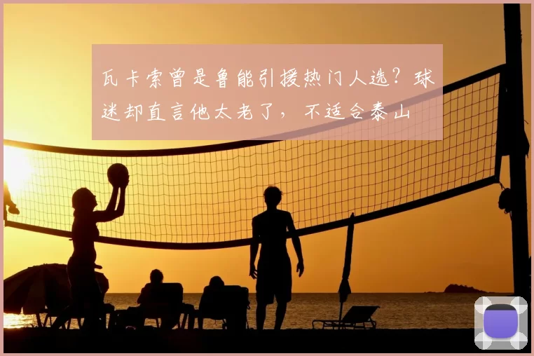 瓦卡索曾是鲁能引援热门人选?球迷却直言他太老了,不适合泰山