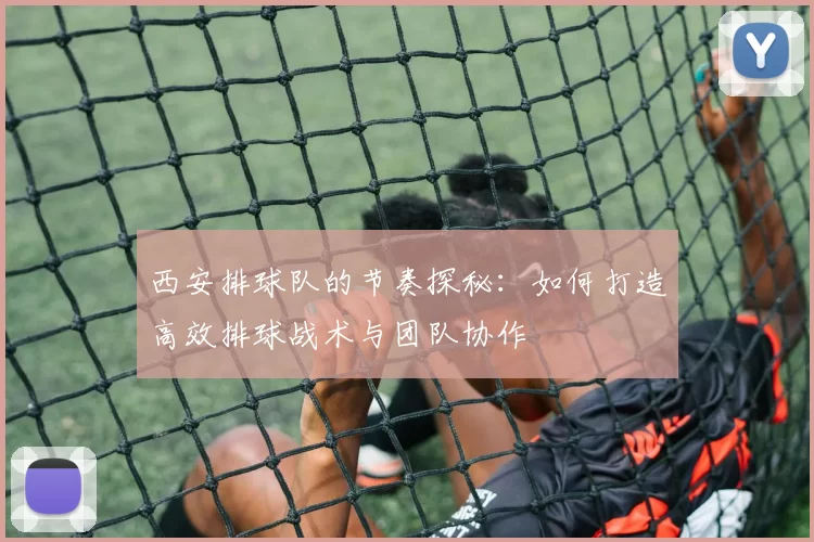 西安排球队的节奏探秘：如何打造高效排球战术与团队协作